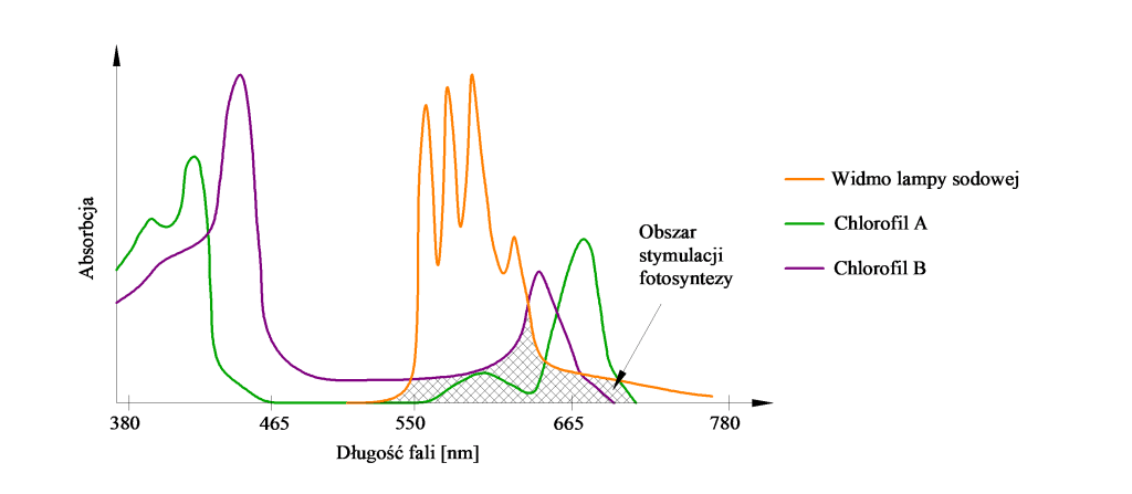 Rysunek 1. Widmo fotosyntezy roślin (Chlorofil A, Chlorofil B) oraz widmo promieniowania lamp sodowych